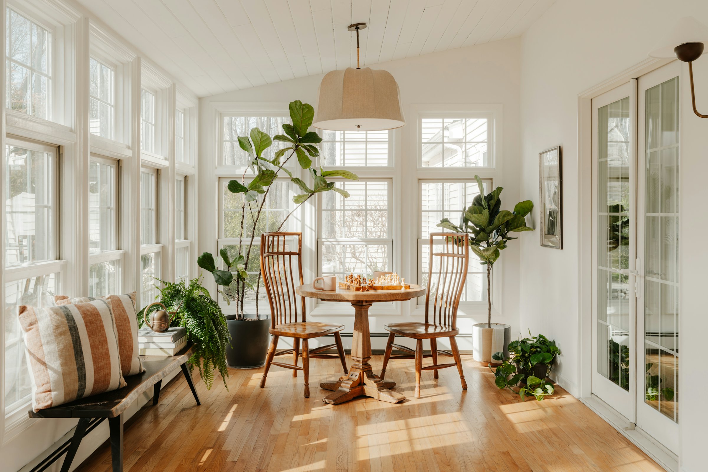 A sunlit room with a round wooden table, two chairs and tall green plants