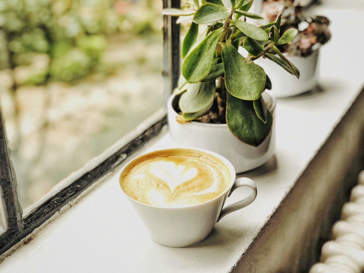 A cup of coffee with latte art on a sunny windowsill, next to potted plants