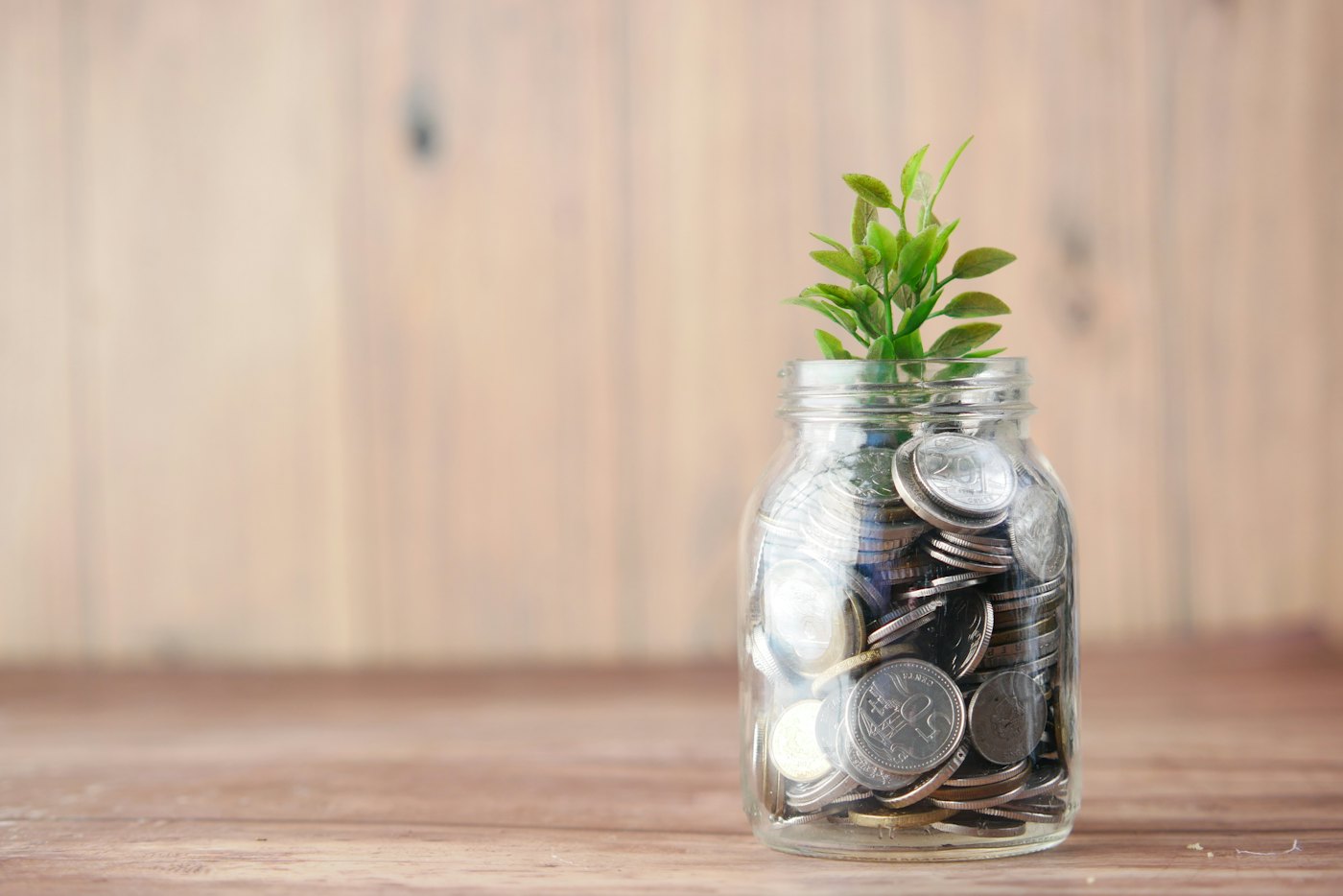 A glass jar of coins with a small plant growing from it